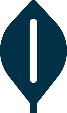 Mongo icon